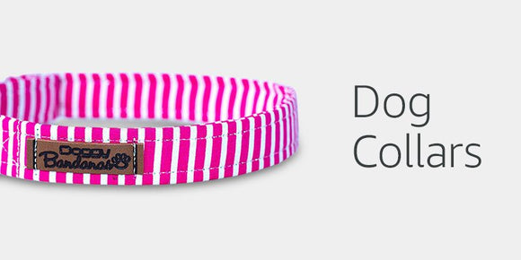 Dog Collars