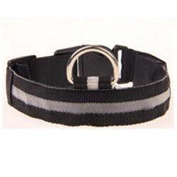 Nylon LED Dog Collar Light Night