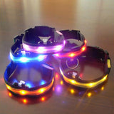 Nylon LED Pet Dog Collar Night