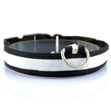 Nylon LED Pet Dog Collar Night