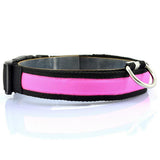 Nylon LED Pet Dog Collar Night