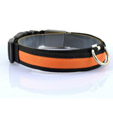 Nylon LED Pet Dog Collar Night