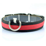 Nylon LED Pet Dog Collar Night