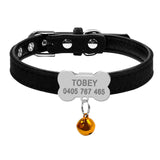 Dog Collars Custom Chihuahua