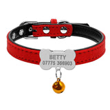 Dog Collars Custom Chihuahua