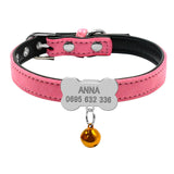 Dog Collars Custom Chihuahua